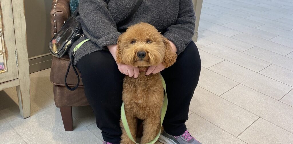 senior resident and pet